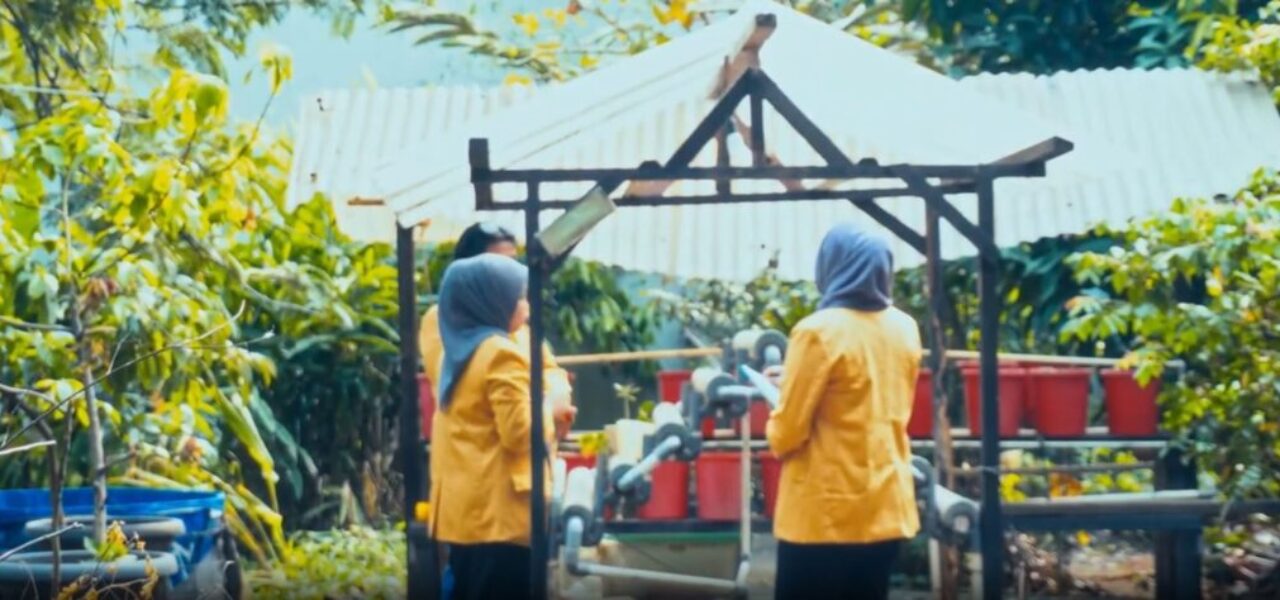 program-pengembangan program-pengembangan