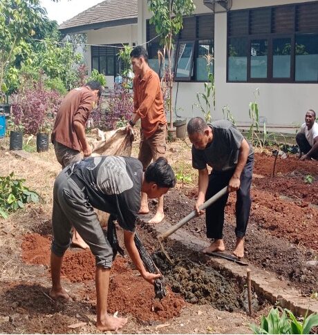 Workshop Pengolahan Lahan Pekarangan: Mahasiswa dan Dosen Universitas Borobudur Bersinergi di Kebun Kampus