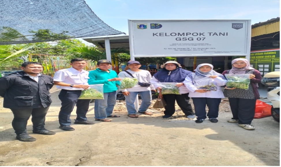 Mahasiswa Universitas Borobudur Kunjungi Kampung Pertanian Organik Gg. Kenangga, Kembangan Utara